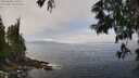 ./images/koeye/fitz-hugh/20250606/fitz-hugh20250606_120508M.jpg