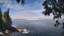 ./images/koeye/fitz-hugh/20250606/fitz-hugh20250606_124010M.jpg