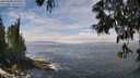 ./images/koeye/fitz-hugh/20250606/fitz-hugh20250606_124508M.jpg