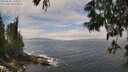 ./images/koeye/fitz-hugh/20250606/fitz-hugh20250606_125009M.jpg