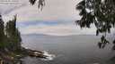 ./images/koeye/fitz-hugh/20250606/fitz-hugh20250606_130011M.jpg