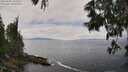 ./images/koeye/fitz-hugh/20250606/fitz-hugh20250606_131011M.jpg