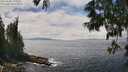 ./images/koeye/fitz-hugh/20250606/fitz-hugh20250606_132010M.jpg