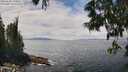./images/koeye/fitz-hugh/20250606/fitz-hugh20250606_132510M.jpg