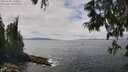 ./images/koeye/fitz-hugh/20250606/fitz-hugh20250606_133011M.jpg