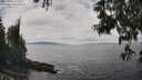 ./images/koeye/fitz-hugh/20250606/fitz-hugh20250606_134010M.jpg