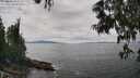 ./images/koeye/fitz-hugh/20250606/fitz-hugh20250606_134511M.jpg