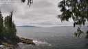 ./images/koeye/fitz-hugh/20250606/fitz-hugh20250606_135011M.jpg