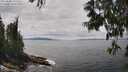./images/koeye/fitz-hugh/20250606/fitz-hugh20250606_135509M.jpg