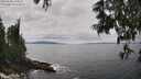 ./images/koeye/fitz-hugh/20250606/fitz-hugh20250606_140012M.jpg