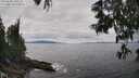 ./images/koeye/fitz-hugh/20250606/fitz-hugh20250606_140510M.jpg