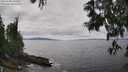 ./images/koeye/fitz-hugh/20250606/fitz-hugh20250606_141008M.jpg