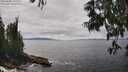 ./images/koeye/fitz-hugh/20250606/fitz-hugh20250606_141511M.jpg