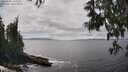 ./images/koeye/fitz-hugh/20250606/fitz-hugh20250606_142510M.jpg
