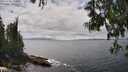 ./images/koeye/fitz-hugh/20250606/fitz-hugh20250606_143011M.jpg