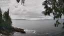 ./images/koeye/fitz-hugh/20250606/fitz-hugh20250606_144010M.jpg