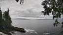 ./images/koeye/fitz-hugh/20250606/fitz-hugh20250606_144511M.jpg