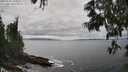 ./images/koeye/fitz-hugh/20250606/fitz-hugh20250606_150012M.jpg