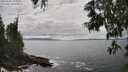./images/koeye/fitz-hugh/20250606/fitz-hugh20250606_151011M.jpg