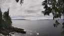 ./images/koeye/fitz-hugh/20250606/fitz-hugh20250606_152509M.jpg