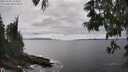 ./images/koeye/fitz-hugh/20250606/fitz-hugh20250606_153011M.jpg