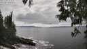 ./images/koeye/fitz-hugh/20250606/fitz-hugh20250606_154509M.jpg