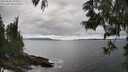 ./images/koeye/fitz-hugh/20250606/fitz-hugh20250606_155508M.jpg