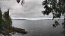 ./images/koeye/fitz-hugh/20250606/fitz-hugh20250606_160010M.jpg