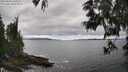 ./images/koeye/fitz-hugh/20250606/fitz-hugh20250606_160510M.jpg