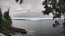 ./images/koeye/fitz-hugh/20250606/fitz-hugh20250606_161511M.jpg