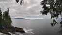 ./images/koeye/fitz-hugh/20250606/fitz-hugh20250606_163511M.jpg