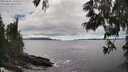 ./images/koeye/fitz-hugh/20250606/fitz-hugh20250606_165011M.jpg