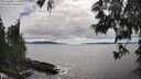 ./images/koeye/fitz-hugh/20250606/fitz-hugh20250606_170010M.jpg