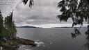 ./images/koeye/fitz-hugh/20250606/fitz-hugh20250606_172510M.jpg