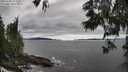./images/koeye/fitz-hugh/20250606/fitz-hugh20250606_173010M.jpg