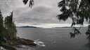./images/koeye/fitz-hugh/20250606/fitz-hugh20250606_173508M.jpg