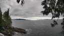 ./images/koeye/fitz-hugh/20250606/fitz-hugh20250606_174010M.jpg