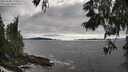 ./images/koeye/fitz-hugh/20250606/fitz-hugh20250606_175010M.jpg