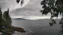 ./images/koeye/fitz-hugh/20250606/fitz-hugh20250606_175509M.jpg