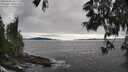 ./images/koeye/fitz-hugh/20250606/fitz-hugh20250606_181510M.jpg