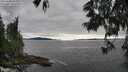 ./images/koeye/fitz-hugh/20250606/fitz-hugh20250606_182508M.jpg