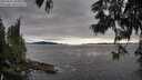 ./images/koeye/fitz-hugh/20250606/fitz-hugh20250606_183510M.jpg