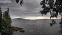 ./images/koeye/fitz-hugh/20250606/fitz-hugh20250606_184009M.jpg