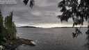 ./images/koeye/fitz-hugh/20250606/fitz-hugh20250606_184511M.jpg