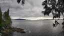./images/koeye/fitz-hugh/20250606/fitz-hugh20250606_185010M.jpg