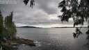 ./images/koeye/fitz-hugh/20250606/fitz-hugh20250606_185510M.jpg