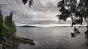 ./images/koeye/fitz-hugh/20250606/fitz-hugh20250606_190008M.jpg