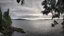 ./images/koeye/fitz-hugh/20250606/fitz-hugh20250606_190508M.jpg