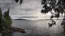./images/koeye/fitz-hugh/20250606/fitz-hugh20250606_191010M.jpg