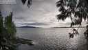 ./images/koeye/fitz-hugh/20250606/fitz-hugh20250606_191508M.jpg